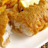 fish fish
